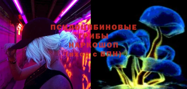 гидра Нефтегорск
