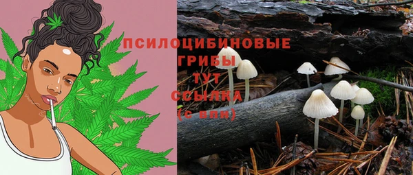 хмурый Алексеевка