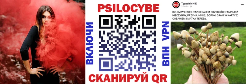 shop клад  Новоалександровск  Псилоцибиновые грибы мухоморы 